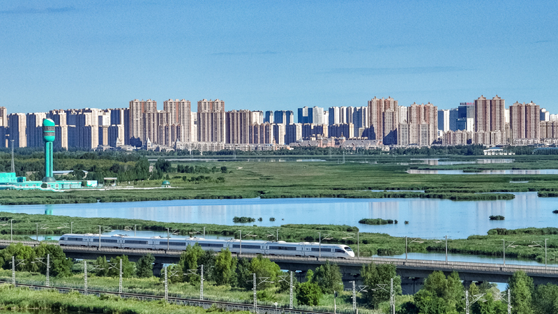 2025年8月17日，一列动车组列车驶过大庆东站。