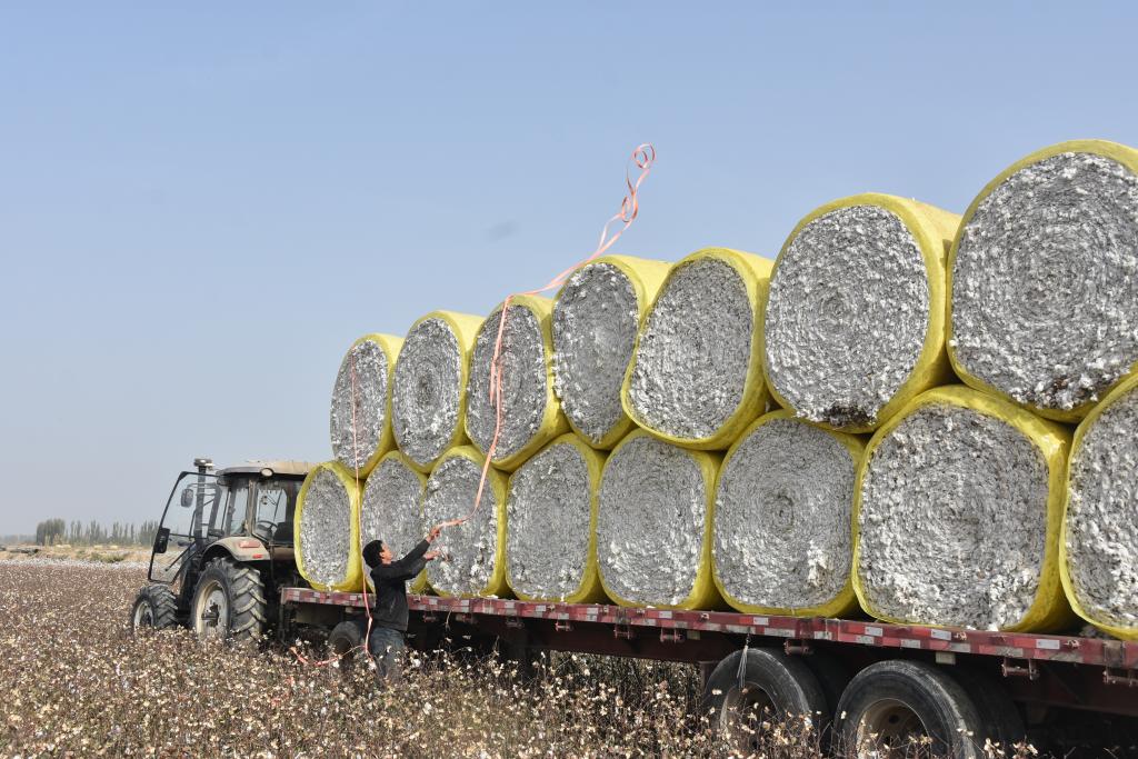 科技产出产量——新疆棉花采收第一视线