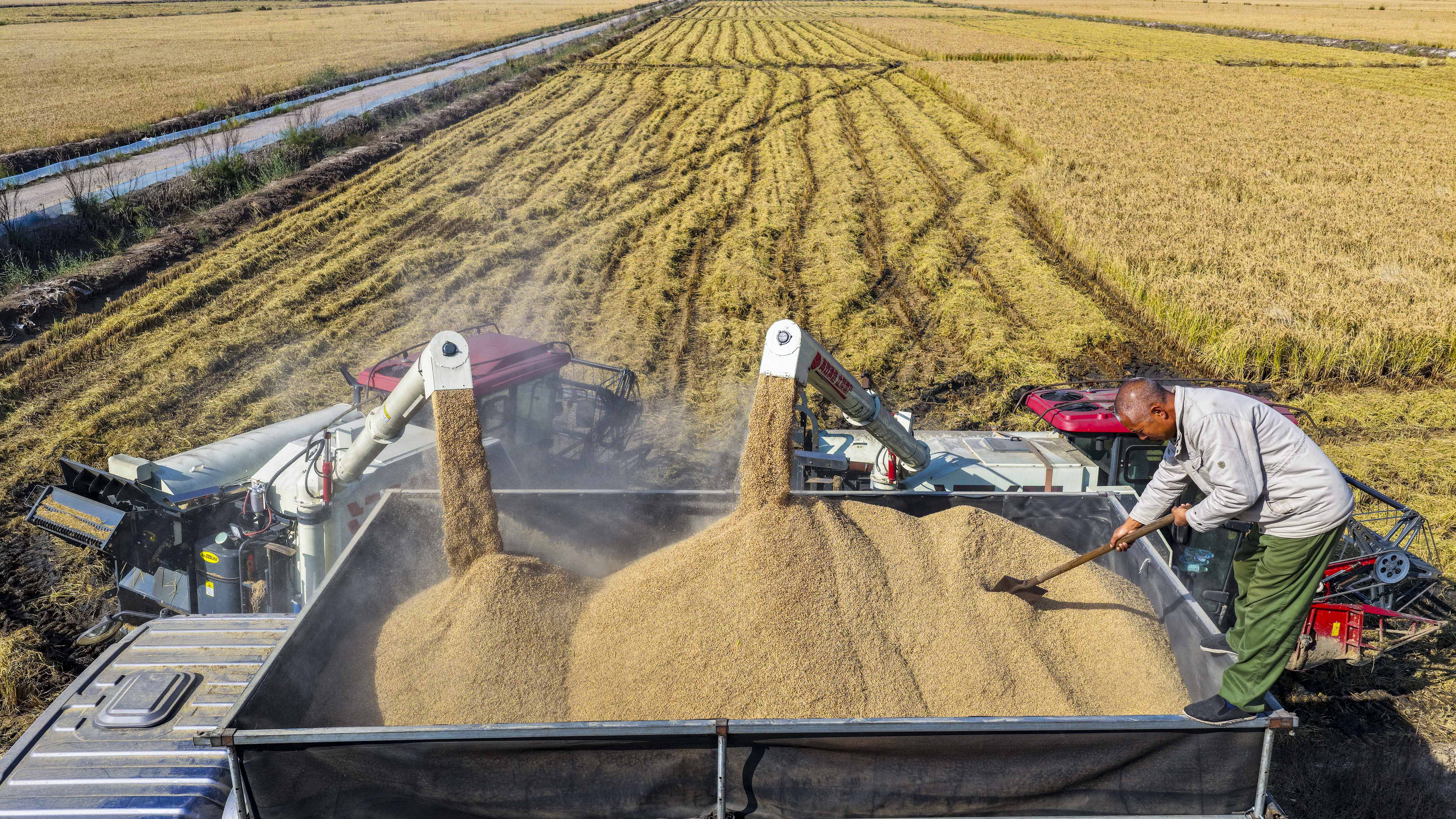 权威解读|从10月数据看中国经济增长点
