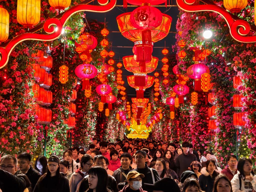 马年春节假日盘点·旅游篇丨旅游迎春一“马”当先——新春文旅市场暖意浓