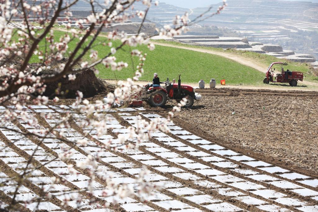 秀我中国｜清明：一年一清明 春深寄远情